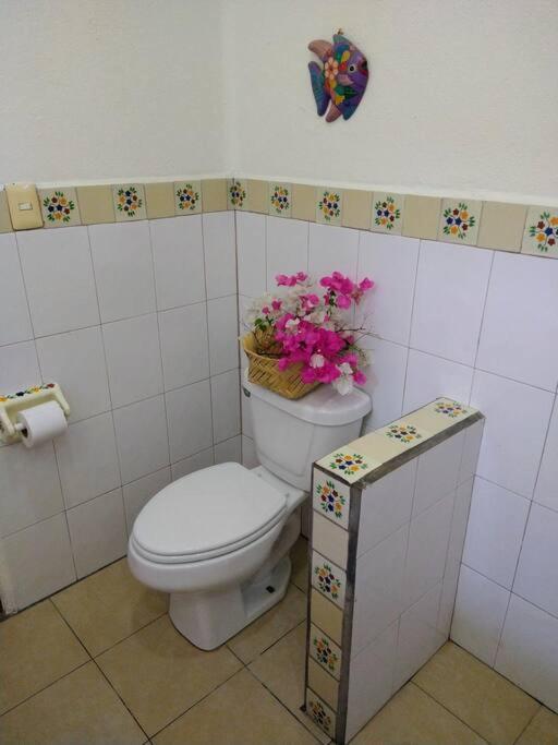 Lush Garden House Near Beaches With Private Pool. Puerto Escondido  Esterno foto